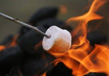 roasting-marshmallows.jpg