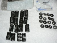 valve springs 001.jpg