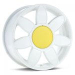 daisy.jpg
