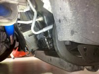 IMG_20110515_162450.jpg