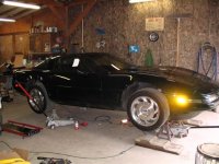 IMG_3175 (Small).JPG