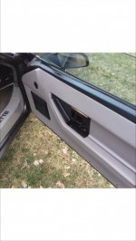 Corvette Door.jpg