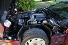 Hood, Lift Assist Support Piston 1993, 40th Anniv ( 4.jpg