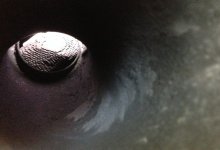 corvetteExhaust2.jpg