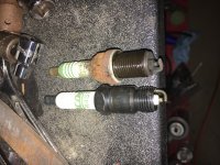 IMG_3783.jpg