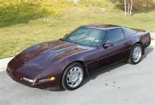 black rose vette.jpg