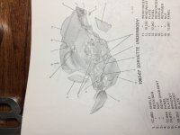 IMG_2143.JPG
