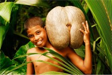 coco-de-mer.jpg