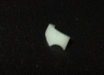 photo4.JPG