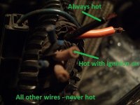 Cut Wire Details.jpg