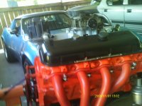IMAG0029.jpg