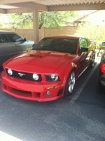 Mustang.JPG