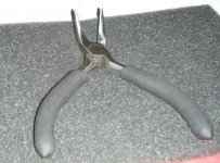 Needlenose1.jpg