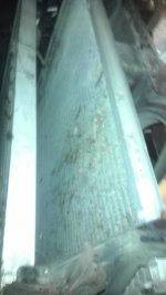 IMAG0408.jpg