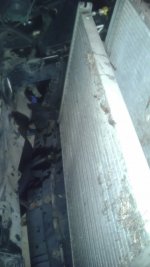 IMAG0406.jpg