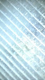 IMAG0402.jpg