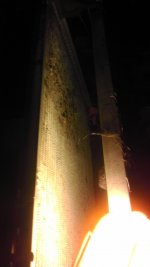 IMAG0397.jpg
