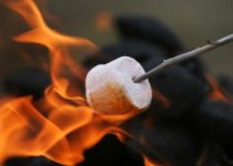 RoastingMarshMellows.jpg