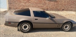 vette 84.jpg