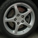 DSC_4532A.jpg