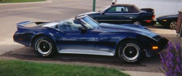 vette.jpg