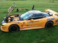 vette2.jpg