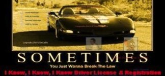 vette2.jpg
