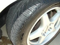 img5.jpg