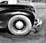 Mysterycar26.jpg