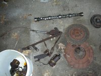DSCN7357.jpg