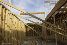 House_day42_247.jpg