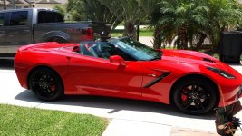 C7 in the Palm B.jpg