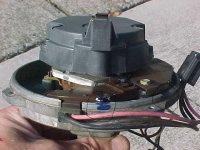 location of #1 cylinder in dist cap.JPG