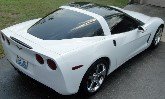 cropvette3.jpg