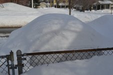 DSC_0426.jpg