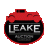 LeakeAuction