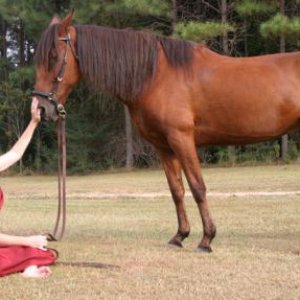 Heidi & Poquita