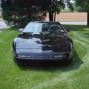 95 vette vert