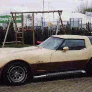 1974 Corvette Station Wagon