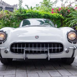 1954 Corvette in Polo White