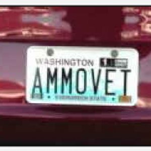 AMMOVET1