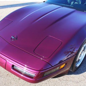 1996 Corvette Coupe in Dark Purple Metallic