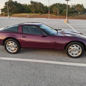 1995 Corvette Coupe in Dark Purple Metallic