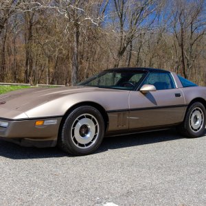 1985 Corvette in Light Bronze / Dark Bronze