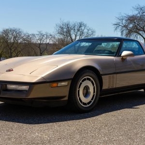 1985 Corvette in Light Bronze / Dark Bronze