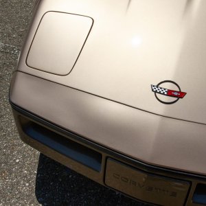 1985 Corvette in Light Bronze / Dark Bronze
