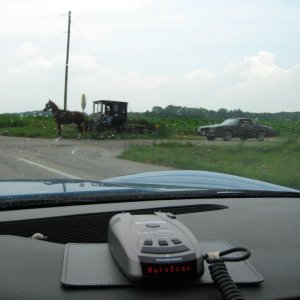 Amish Speed Trap