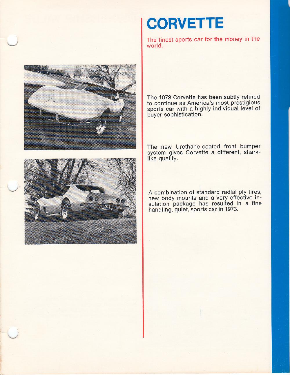 1973 Salesman Product Info - Page 1