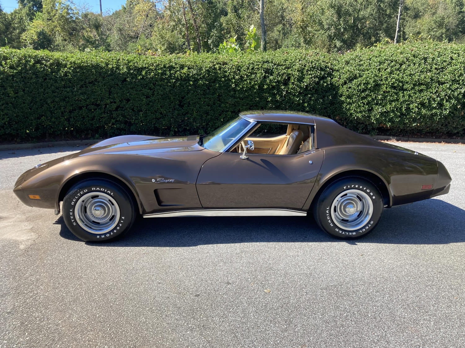 1976 Corvette in Dark Brown Metallic