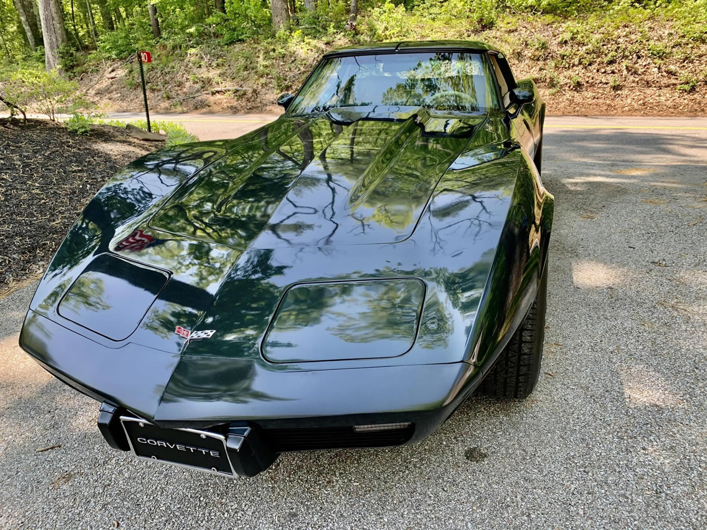 1979 Corvette in Corvette Dark Green